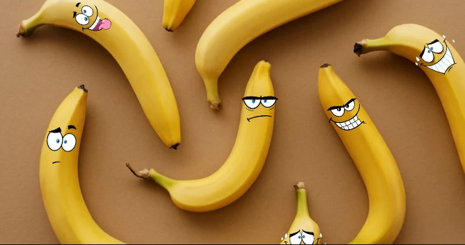 candidatos bananas